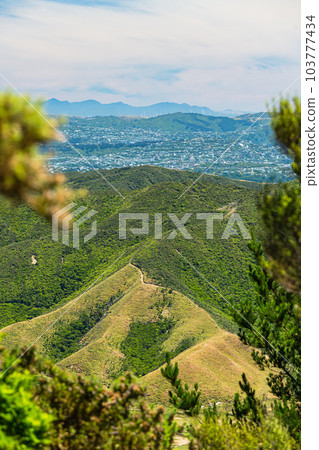 View from Cattle Ridge Lookout, Wainuiomata, Wellington, New Zealand View from Cattle Ridge Lookout, Wainuiomata, Wellington, New Zealand 103777434