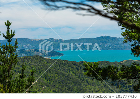 View from Cattle Ridge Lookout, Wainuiomata, Wellington, New Zealand View from Cattle Ridge Lookout, Wainuiomata, Wellington, New Zealand 103777436