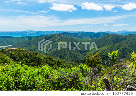 View from the Cattle Ridge Track in Wainuiomata, Wellington, New Zealand View from the Cattle Ridge Track in Wainuiomata, Wellington, New Zealand 103777439