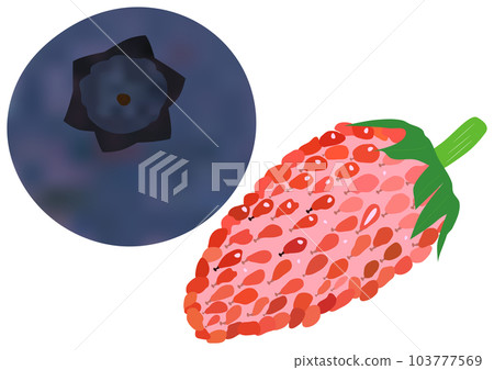 “藍莓果實”和“野草莓果實” 103777569