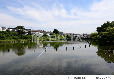 東京都大田區小池公園 東京都大田區小池公園 103777570