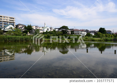 東京都大田區小池公園 103777571