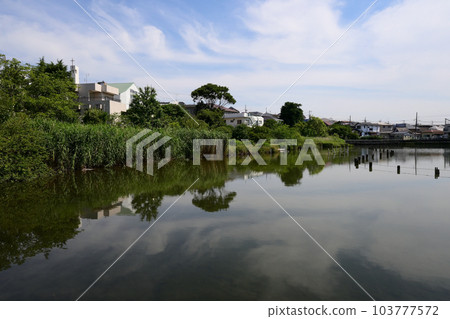 東京都大田區小池公園 103777572