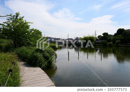 Koike Park, Ota Ward, Tokyo 103777573