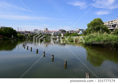 Koike Park, Ota Ward, Tokyo 103777574
