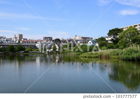 東京都大田區小池公園 東京都大田區小池公園 103777577