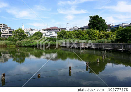 Koike Park, Ota Ward, Tokyo 103777578