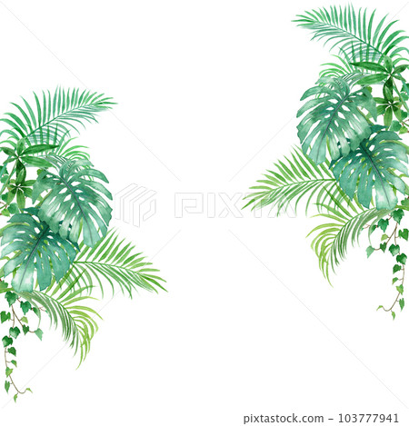 模擬水彩觀葉植物圖案集 103777941