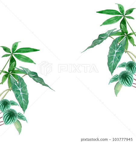 Analog watercolor foliage plant pattern set 103777945