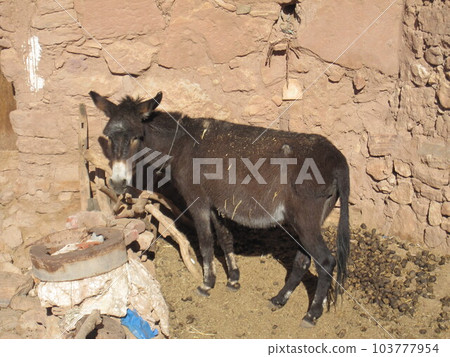 The village of Ait Benhaddou on the Kasbah Road 103777954