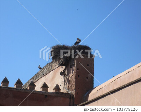 Bahia Palace in Marrakech, the harem of the Prime Minister 103779126