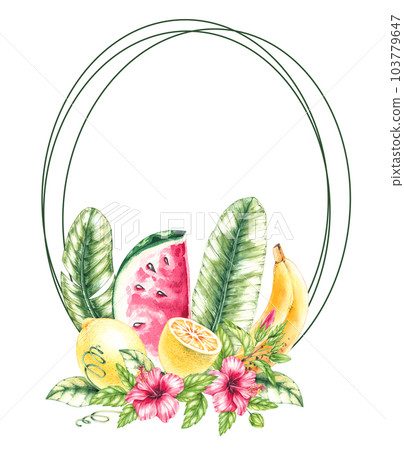 Watercolor fruits and hibiscus flowers frame on white background Watercolor fruits and hibiscus flowers frame on white background 103779647