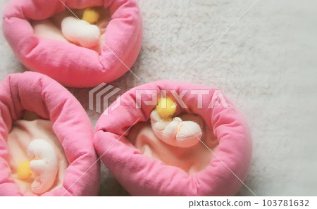 It is popular because the cute embryo and the pink uterus are easy to get along with. It is popular because the cute embryo and the pink uterus are easy to get along with. 103781632