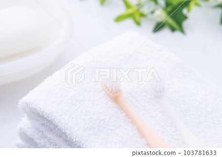 Toilet toothbrush and towel Toilet toothbrush and towel 103781633