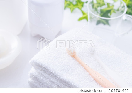 Toilet toothbrush and towel Toilet toothbrush and towel 103781635