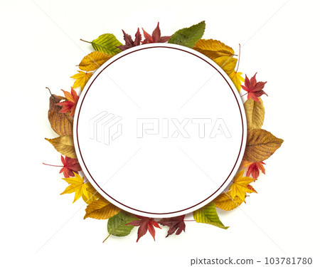 Templates decorated with autumn leaves 103781780
