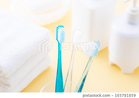 馬桶牙刷和毛巾 103781859