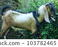local goat 103782465