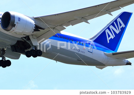 Osaka International Airport ANA airliner Takeoff Inagawa embankment 103783929