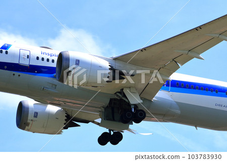 Osaka International Airport ANA airliner Takeoff Inagawa embankment 103783930
