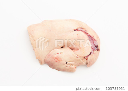 Monkfish liver 103783931
