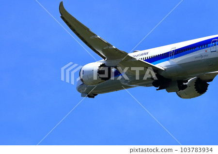 大阪國際機場全日空班機起飛稻川堤岸 大阪國際機場全日空班機起飛稻川堤岸 103783934
