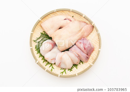 安康魚肉和肝臟 103783965