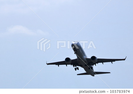 Osaka International Airport JAL airliner Takeoff Inagawa embankment 103783974