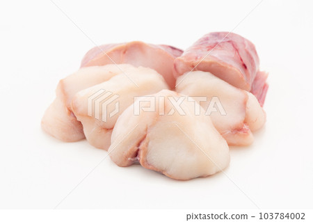 anglerfish body 103784002
