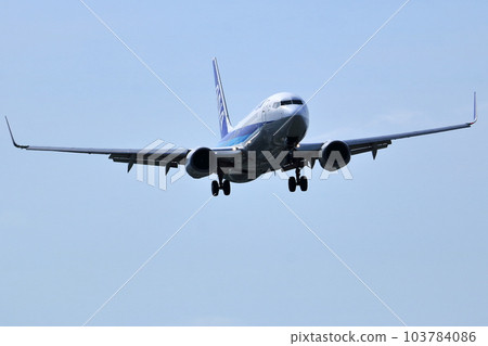 Osaka International Airport ANA Passenger Aircraft Landing Preparation Senri Kawajiri 103784086