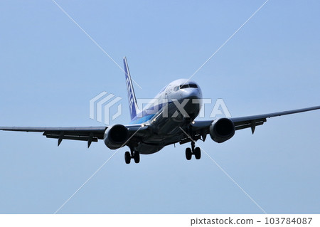 Osaka International Airport ANA Passenger Aircraft Landing Preparation Senri Kawajiri 103784087