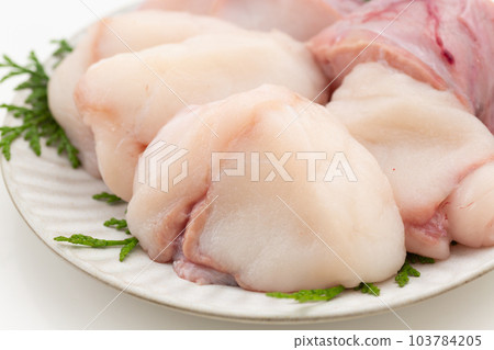 琵琶魚身體 琵琶魚身體 103784205