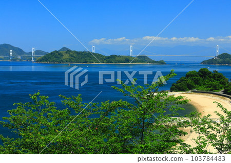 [Ehime Prefecture] Kurushima Kaikyo Bridge in sunny weather (Shimanami Kaido) 103784483