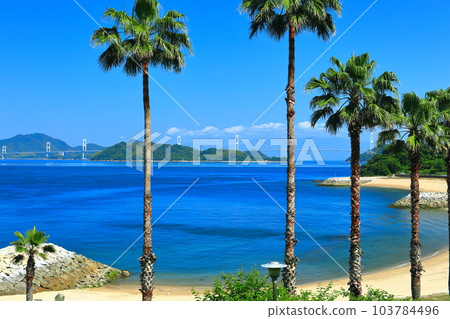 [Ehime Prefecture] Kurushima Kaikyo Bridge in sunny weather (Shimanami Kaido) 103784496