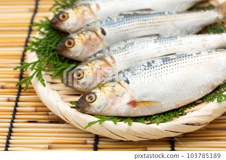 Kohada Kohada 103785189