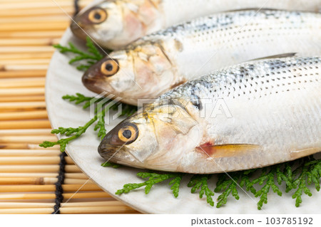 Powder Powder 103785192