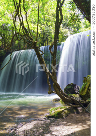 [Kumamoto Prefecture] Aso Oguni Town Nabegataki Waterfall with vivid fresh greenery 103785350