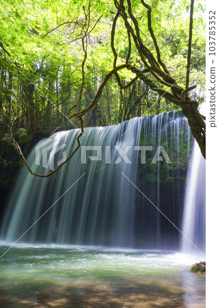 [熊本縣] 阿蘇小國町 生機勃勃的綠意盎然的鍋瀑布瀑布 103785352