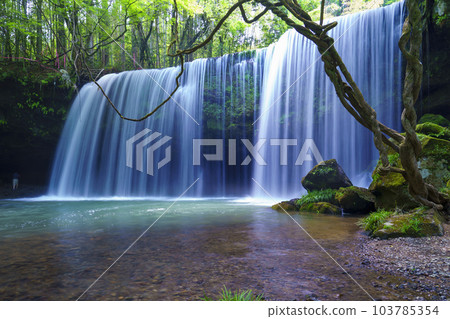 [熊本縣] 阿蘇小國町 生機勃勃的綠意盎然的鍋瀑布瀑布 103785354