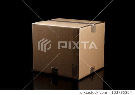 紙板箱 103785894