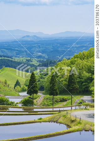 [Kumamoto Prefecture] Dark green Aso “Ogi Terraced Rice Fields” 103786170