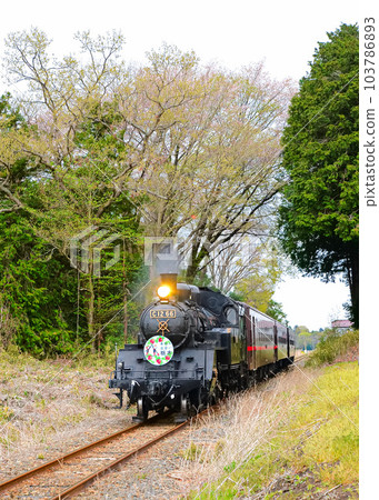 森林蒸汽機車 森林蒸汽機車 103786893