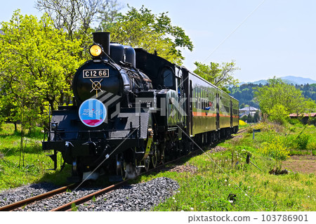 春天蒸汽機車 103786901