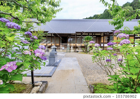 額田郡甲田町本光寺院內 額田郡甲田町本光寺院內 103786902