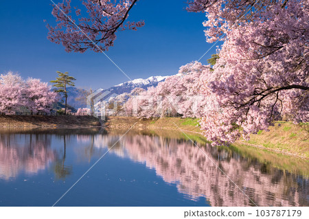 《Nagano Prefecture》 Rokudo no Tsutsumi and cherry blossoms in full bloom 103787179