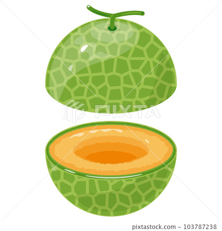 紅肉瓜切成兩半無籽 紅肉瓜切成兩半無籽 103787238