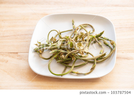 收穫的小葛芽 103787504