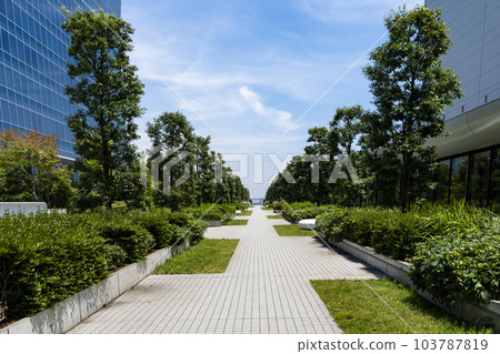 Yokohama Minatomirai Scenery of Rinko Park 103787819