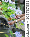Chozuya and hydrangea in Hase-dera Temple in Kamakura 103787851