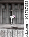 A hydrangea vase displayed at the eaves of an old house in Kamakura 103787852